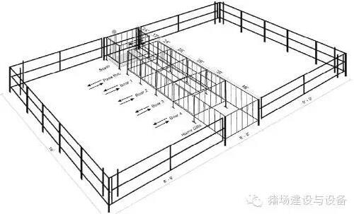 技術控 | 設計有效的公豬誘情系統