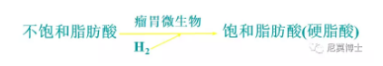 12.png