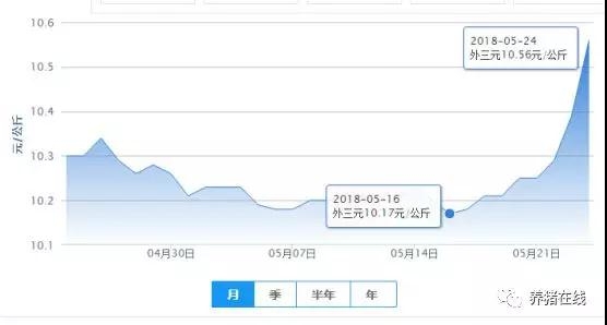 近期豬價(jià)全面上漲，這波行情還能持續(xù)多久？