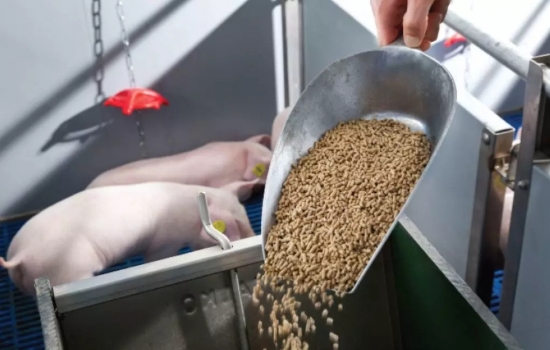淺談飼料機械設備潤滑管理技術與方法