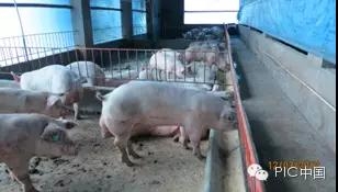 技術控 | 豬場生產管理基本點回顧-飼料的細節(jié)管理