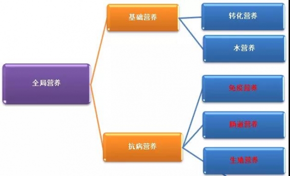 為什么說補(bǔ)充抗病營(yíng)養(yǎng)是提高豬場(chǎng)PSY的基礎(chǔ)？
