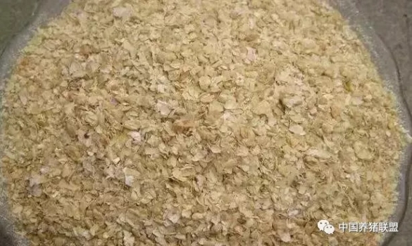 豬場用的豆粕30%都是假的，看看你家的是不是假的？