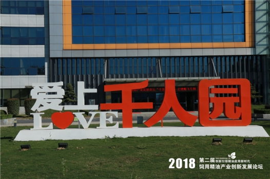 IMG_5102.jpg IMG_5102.jpg