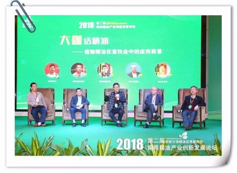 互4.jpg