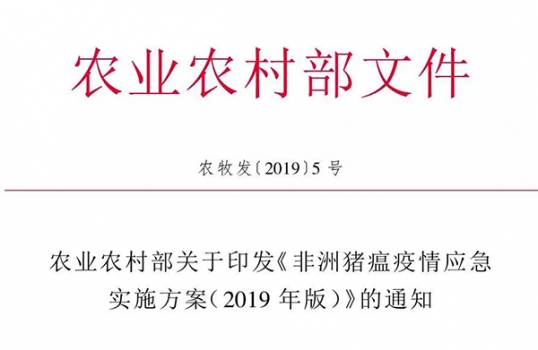 最新政策！非洲豬瘟疫情應(yīng)急實(shí)施方案（2019年版）