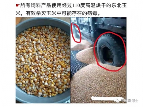 做好飼料廠生物安全的幾點(diǎn)認(rèn)識(shí)