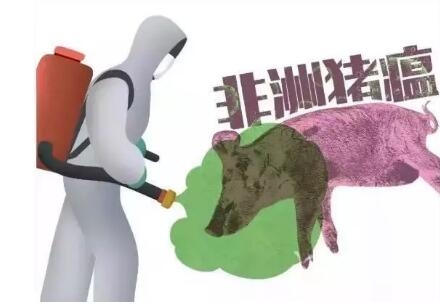 非瘟疫苗研發(fā)困難，防控疫情還需依靠生物安全管理
