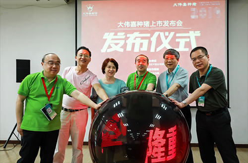 “非”誠(chéng)勿擾，只培育用戶想要的“大偉嘉種豬”正式上市