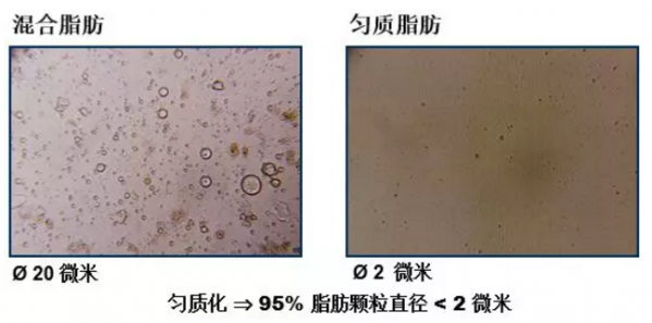 油脂在豬料中的應(yīng)用