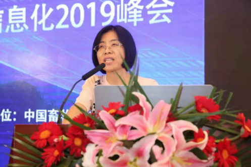 2019年上半年母豬料和仔豬料減少近25%，禽料增加超10%