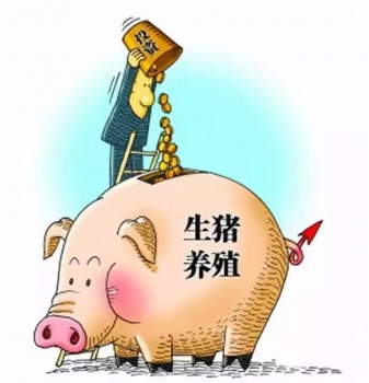 財(cái)政部：支持豬業(yè)發(fā)展，中央資金已下達(dá)完畢！