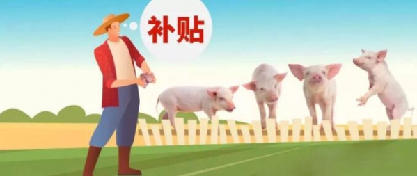 2020養(yǎng)豬補(bǔ)貼新政：養(yǎng)50頭豬國家就有補(bǔ)貼