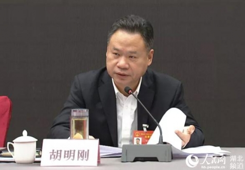 胡明剛代表：走好生豬綠色發(fā)展之路 實(shí)現(xiàn)生豬穩(wěn)價(jià)保供