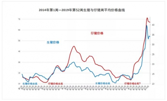 大數(shù)據(jù)：2019年養(yǎng)豬行情回顧及2020年豬行大趨勢(shì)（利潤(rùn)比2019年更好）