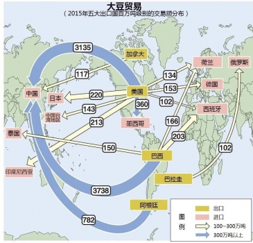 悲慘的大豆：躲過了中美貿(mào)易戰(zhàn)，卻沒躲過新冠肺炎