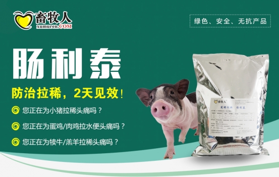 海報(bào)1 (1).jpg