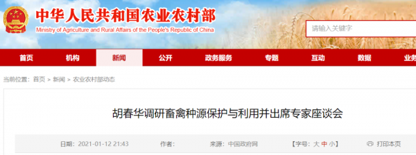 農(nóng)業(yè)農(nóng)村部：種豬和仔豬調(diào)運，符合條件，不得層層加碼禁運限運！打好種業(yè)翻身仗！