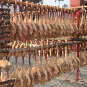 彭州美食節(jié)：吃地道板鴨品極鮮鵝腸
