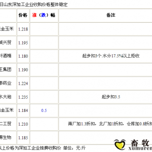 9月13日山東深加工企業(yè)收購(gòu)價(jià)格整體穩(wěn)定