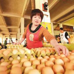 兩月漲價(jià)兩成 雞蛋再度變身“火箭蛋”