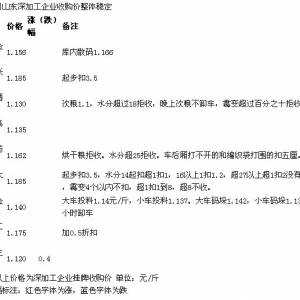 5月8日山東深加工企業(yè)收購價(jià)格整體穩(wěn)定