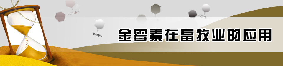 金霉素在畜牧業(yè)的應(yīng)用