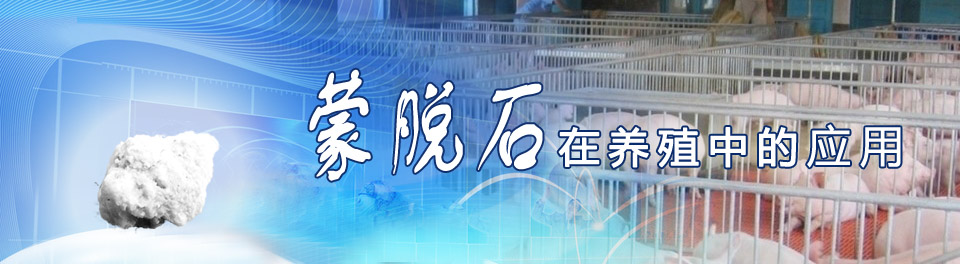 蒙脫石在養(yǎng)殖中的應(yīng)用