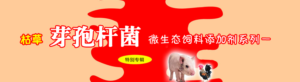 枯草芽孢桿菌微生態(tài)飼料添加劑系列一