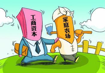 養(yǎng)雞：專業(yè)公司PK專業(yè)農(nóng)民