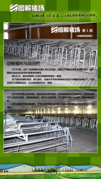 【京鵬環(huán)宇畜牧】圖解豬場第1期：動物福利與自閉欄