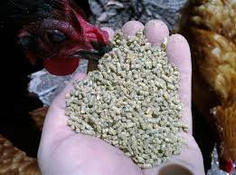 影響配合飼料質(zhì)量的四個(gè)因素