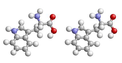 色氨酸對(duì)豬生產(chǎn)的影響分析