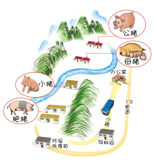 揭秘你不知道的網(wǎng)易豬：豬場(chǎng)懸空無(wú)臭味 臭氣用水封