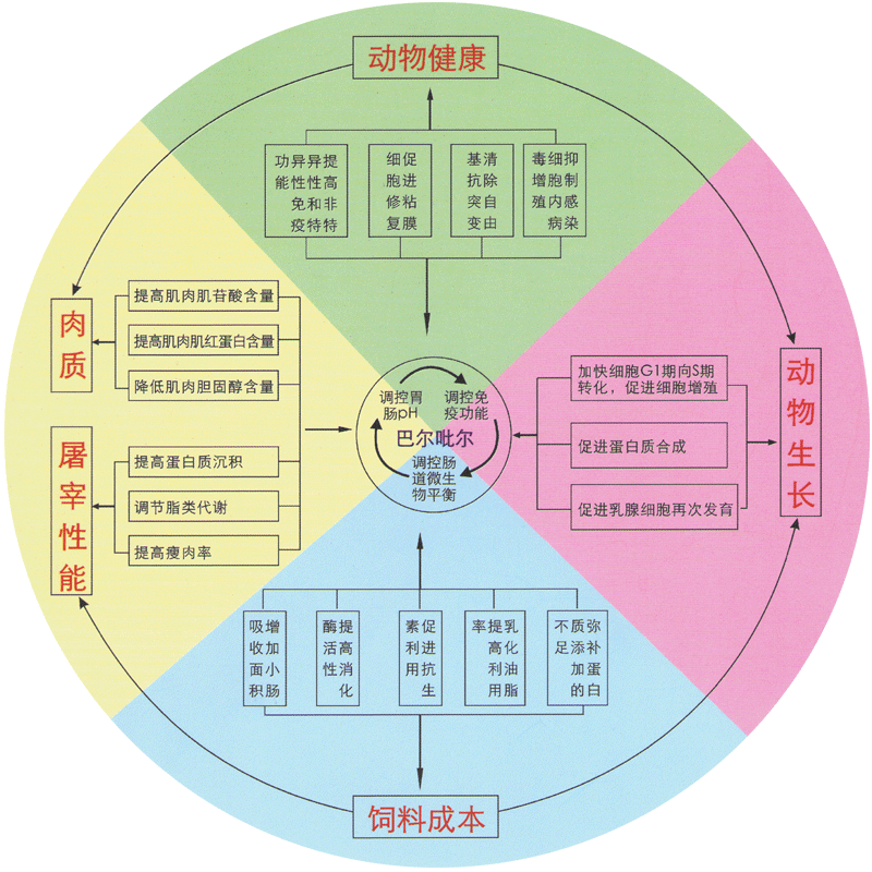 巴爾麥?zhǔn)? 北京金娜爾生物技術(shù)有限公司