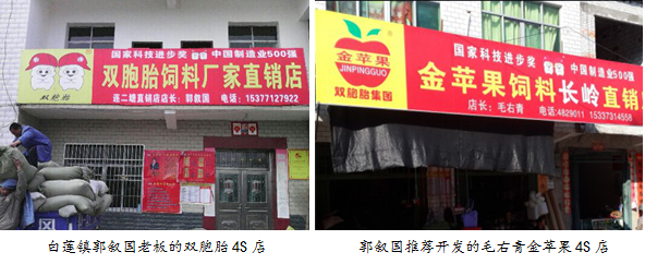 湖北浠水縣白蓮鎮(zhèn)花開“并蒂蓮”