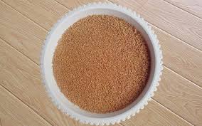 實(shí)現(xiàn)生物飼料工業(yè)化生產(chǎn)重中之重