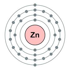 仔豬鋅營(yíng)養(yǎng)研究