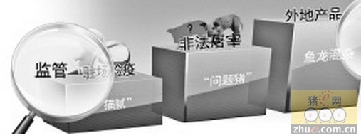 檢察官揭秘“問題豬肉”如何流入市場