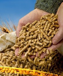 浸泡、蒸煮、焙炒、制漿、發(fā)芽法調(diào)整豬飼料