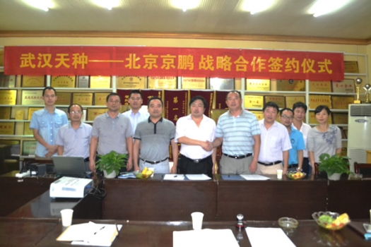 武漢天種與京鵬畜牧達(dá)成戰(zhàn)略合作 共育中國特色種豬