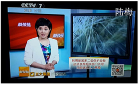 偉嘉二十華誕盛宴，園博園共襄盛舉！