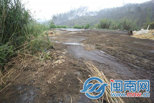 福建嚴抓畜禽環(huán)?！∮忠回i場被責令整改