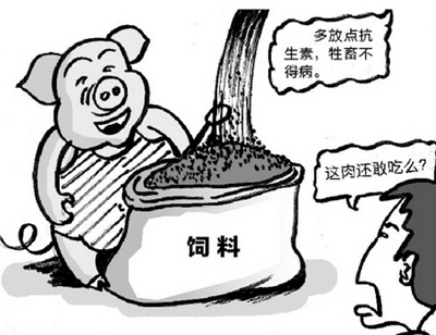 調研報告：中國豬工業(yè)飼料中抗生素添加成本最高