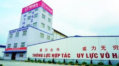 海外探訪：新希望、通威等飼料企業(yè)抱團突圍闖越南