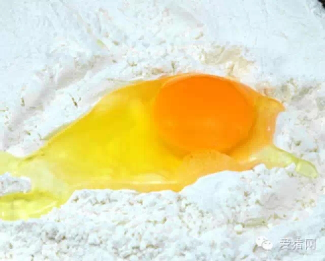 乳清蛋白濃縮物成本高昂 是否有替代品？