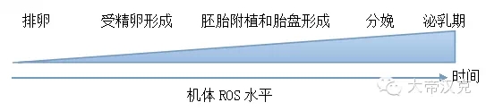 華中農(nóng)業(yè)大學彭健教授：《進程性氧化應激對母豬繁殖性能的影響及營養(yǎng)調(diào)控》