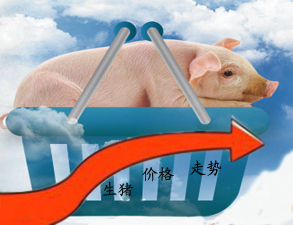 三大因素決定今年生豬價格漲勢