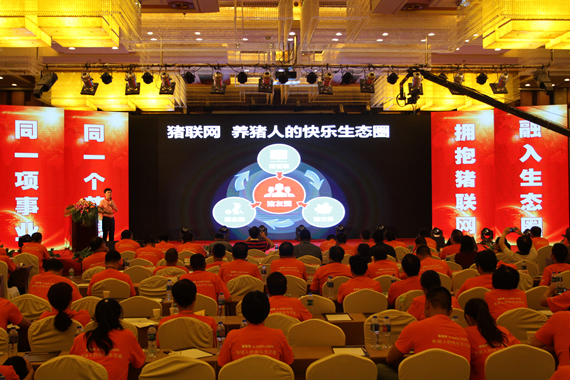 豬交所+豬金融 開啟養(yǎng)豬盈利新時代