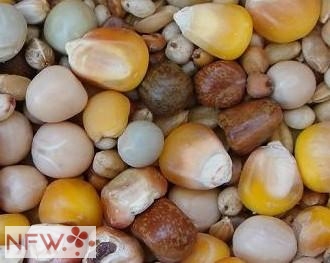 淺談中小型飼料企業(yè)如何進行產(chǎn)品的精工細(xì)作（三）